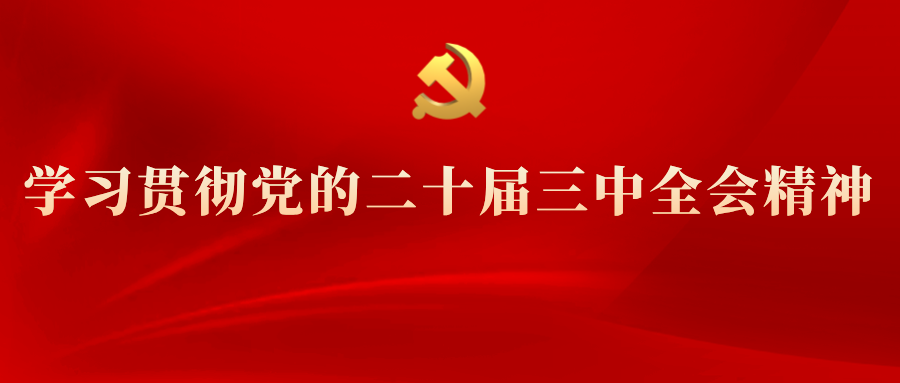 學(xué)習(xí)專欄 | 黨的二十屆三中全會精神解讀（四）